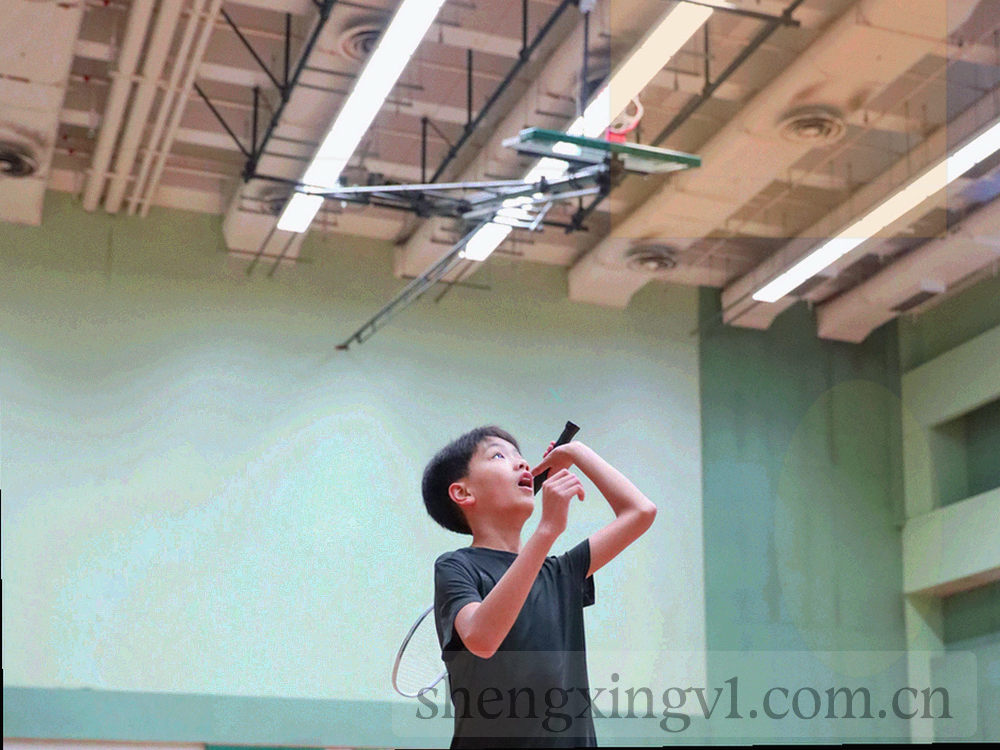 小型商铺墙面挂着显示设备，室内灯光偏暖